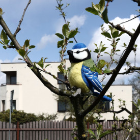 Společenské hry - hračky