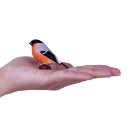 Společenské hry - hračky