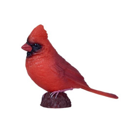 Společenské hry - hračky