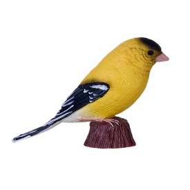 Společenské hry - hračky