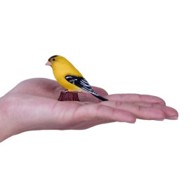 Společenské hry - hračky