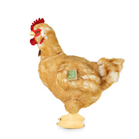 Společenské hry - hračky