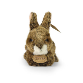 Společenské hry - hračky