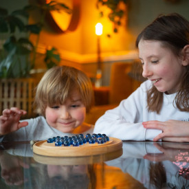 Společenské hry - hračky