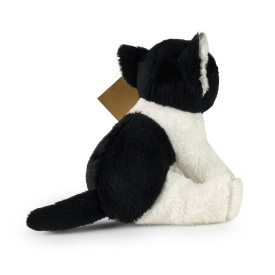 Společenské hry - hračky