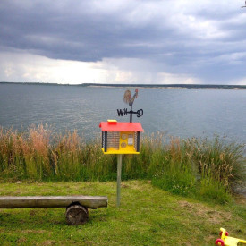 Společenské hry - hračky