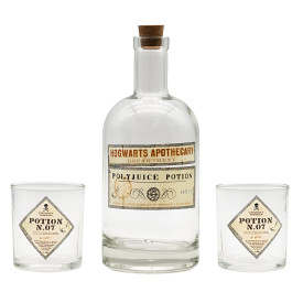Láhev na lektvar Harry Potter + 2 skleničky