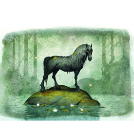 Společenské hry - hračky