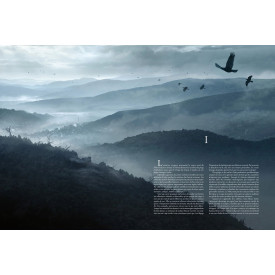 Společenské hry - hračky