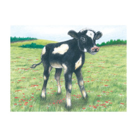 Společenské hry - hračky