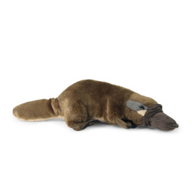 Společenské hry - hračky