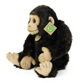 Společenské hry - hračky