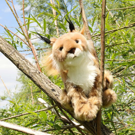 Společenské hry - hračky