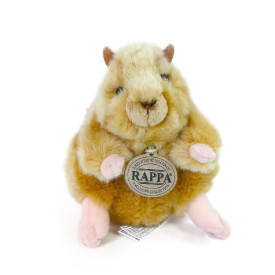 Společenské hry - hračky