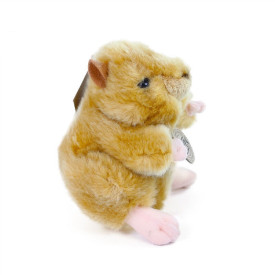 Společenské hry - hračky