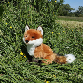 Společenské hry - hračky