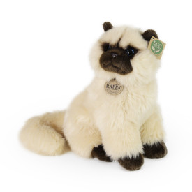 Společenské hry - hračky