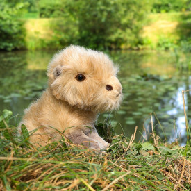 Společenské hry - hračky