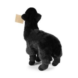 Společenské hry - hračky