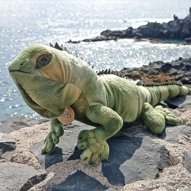 Společenské hry - hračky