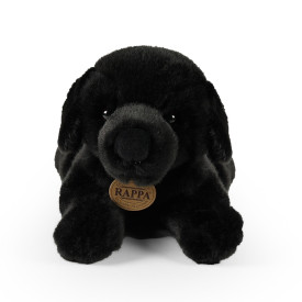 Společenské hry - hračky