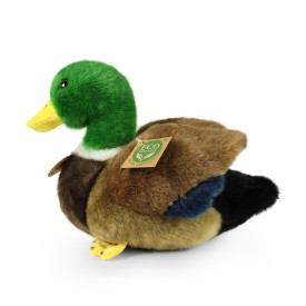 Společenské hry - hračky