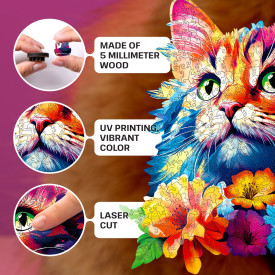 Společenské hry - hračky