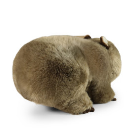 Společenské hry - hračky