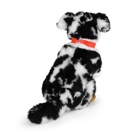 Společenské hry - hračky