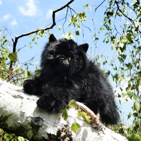 Společenské hry - hračky