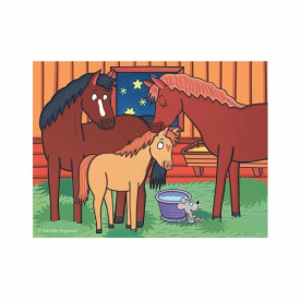 Společenské hry - hračky