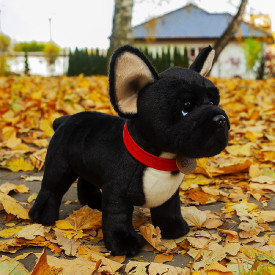 Společenské hry - hračky