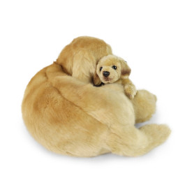 Společenské hry - hračky