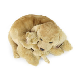 Společenské hry - hračky