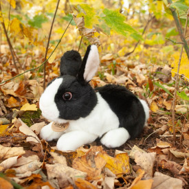 Společenské hry - hračky