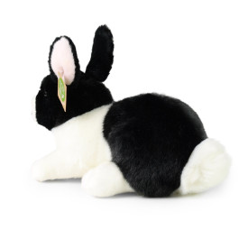 Společenské hry - hračky