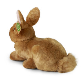 Společenské hry - hračky