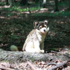 Společenské hry - hračky