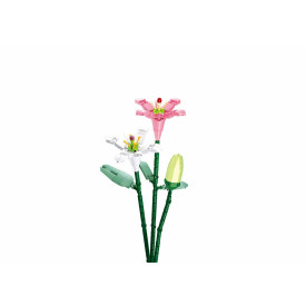 Společenské hry - hračky