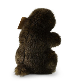 Společenské hry - hračky