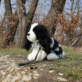 Společenské hry - hračky