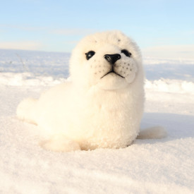 Společenské hry - hračky