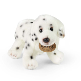 Společenské hry - hračky