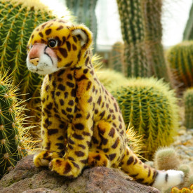 Společenské hry - hračky