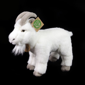 Společenské hry - hračky