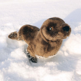 Společenské hry - hračky