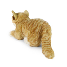 Společenské hry - hračky