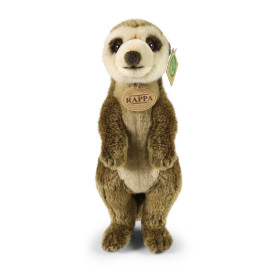 Společenské hry - hračky