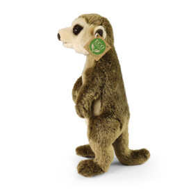 Společenské hry - hračky