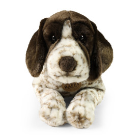 Společenské hry - hračky